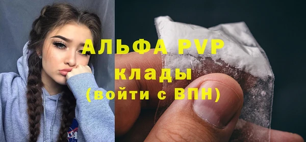 шишки Арсеньев