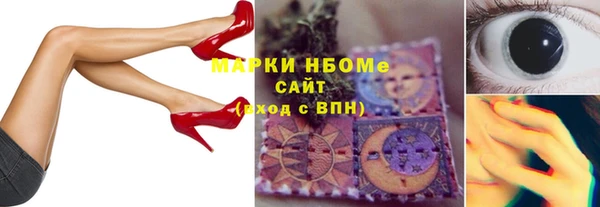шишки Арсеньев