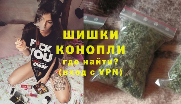 шишки Арсеньев