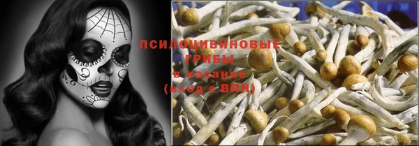 шишки Арсеньев