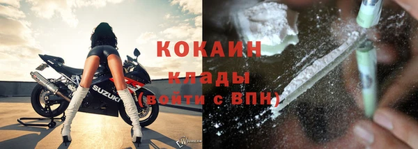 шишки Арсеньев