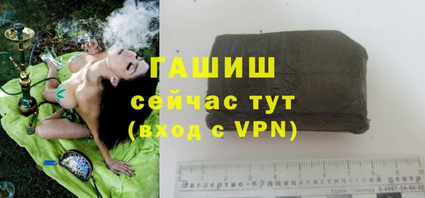 шишки Арсеньев