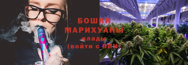 шишки Арсеньев